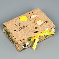 Коробка подарочная картон.16,5х12,5х5см складная  Подарочек