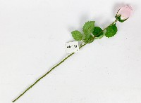 Цветок искусственный  Роза  53см ассорт.