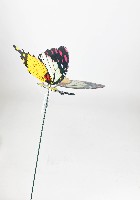 Украшение для цветов  Бабочка  60х19см