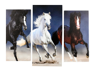 Картина модульная 60х80см  Три резвых коня