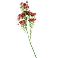 Цветок искусственный  Гипсофила  75см